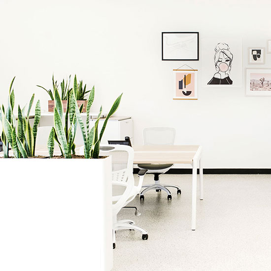 White Contemporary and Modern Narrow Rectangular Planters