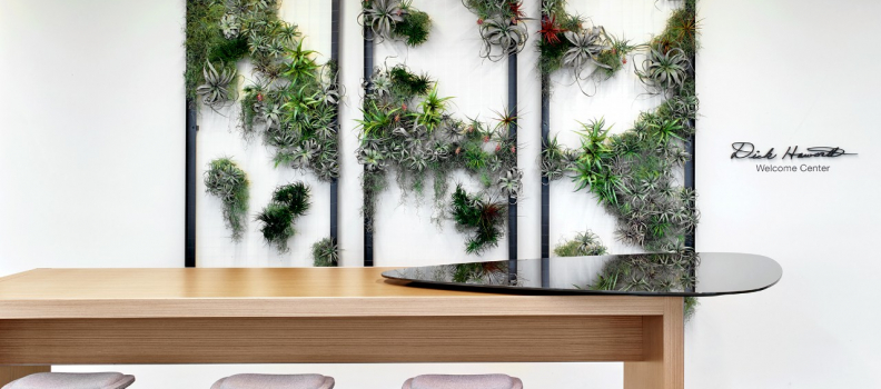 Bringing the Outdoors In – How to incorporate biophilic design into your workspace